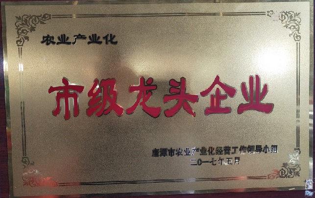 江西華碩包裝有限公司核心榮譽